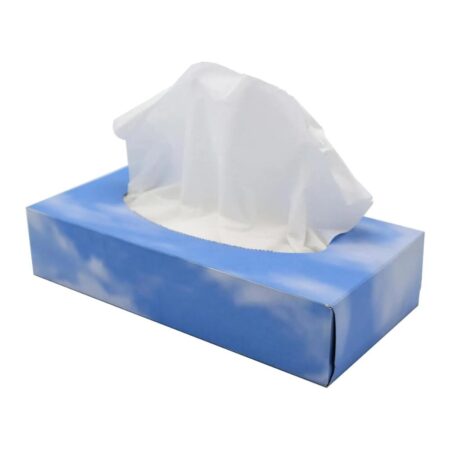 cleaning tissues (box 100)